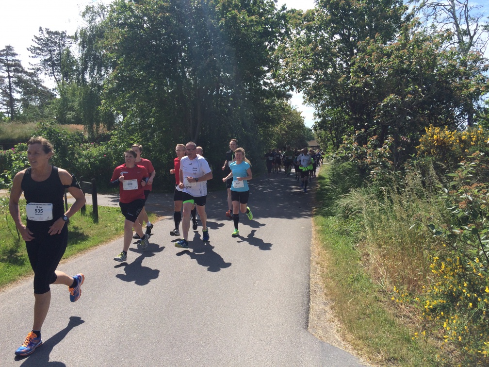 036.2015 Storebaelt Naturmarathon Kobaek