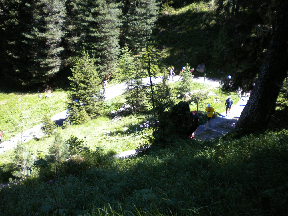 019.Swiss Alpine 2010