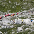 028.Swiss Alpine 2010