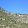 040.Swiss Alpine 2010