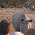 003.Afrika 2012