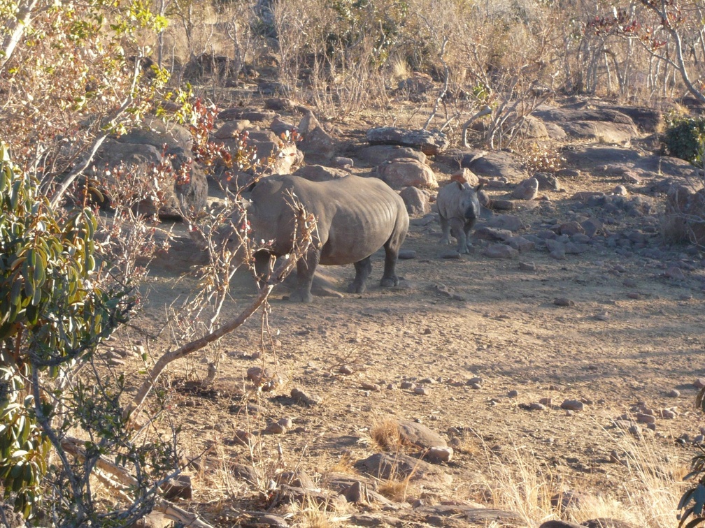 058.Afrika 2012
