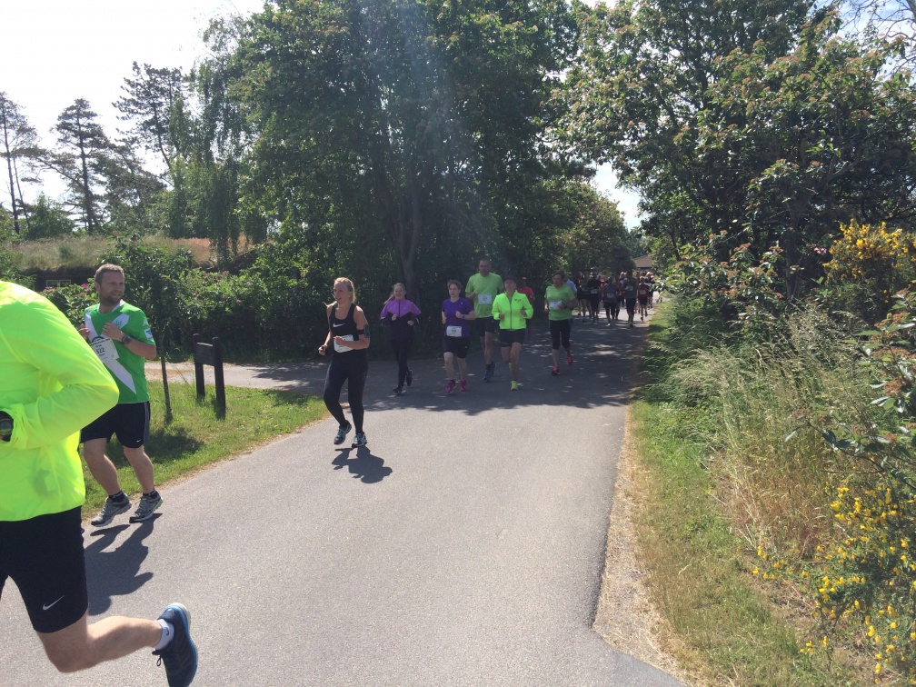 053.2015 Storebaelt Naturmarathon Kobaek
